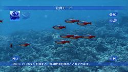 ꡼ No.008 | ֥֥롼֡סPS3о졣ۿ