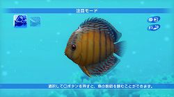 ꡼ No.009 | ֥֥롼֡סPS3о졣ۿ