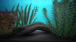 ꡼ No.011 | ֥֥롼֡סPS3о졣ۿ