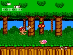 ���������꡼ No.005�Υ���ͥ������ / PlayStation Store�Ρ֥����ॢ�������֥��פǡ��ϥɥ����PC���󥸥󥿥��ȥ뤬�ۿ�����