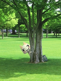 ꡼ No.002 | PS StoreαƥġPSPľܥɲǽ