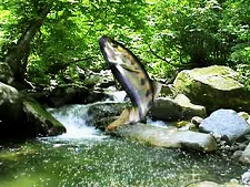 ꡼ No.018 | 2011ǯ29դPlayStation StoreǿϤ꡼ǿ֥ƥ륺    ǥ ޥ3פʤɤо