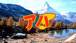 ���������꡼ No.004�Υ���ͥ������ / PSP��DL���եȡ�Ǿ�˲��� �����θ����פʤ�3���ʤ����ָ����500�ߤ�