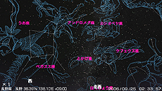 ꡼ No.016 | PS Store Magazineפ411椬ڤȳؤ٤ɥȥ䡤ɥ饴о줹륿ȥý