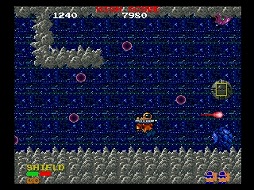 ꡼ No.010Υͥ / ֥ʥॳߥ塼Vol.5ס֥ʥॳߥ塼ॢ󥳡ס֥ʥॳ󥽥ץ꡼ॢ֥ۿ