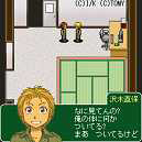 ���������꡼ No.011�Υ���ͥ������ / �֤�䤷���DS��ȯ�䵭ǰ���ֽ�⥪�ꥼ���ץץ쥼��ȥ����ڡ���