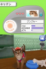 奢륷꡼2980 Petz Catz å