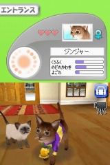 カジュアルシリーズ2980 Petz Catz キャッツ