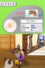 カジュアルシリーズ2980 Petz Catz キャッツ