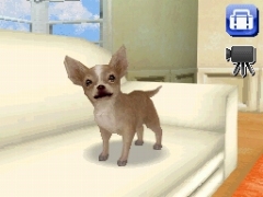 画像集#006のサムネイル/エム・ティー・オー,「カジュアルシリーズ2980」第一弾として犬/猫/馬/サルの育成ができる「Petz」シリーズ4タイトルを発売