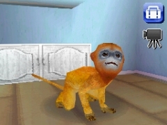 画像集#008のサムネイル/エム・ティー・オー,「カジュアルシリーズ2980」第一弾として犬/猫/馬/サルの育成ができる「Petz」シリーズ4タイトルを発売