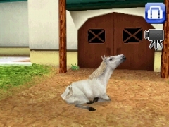 画像集#009のサムネイル/エム・ティー・オー,「カジュアルシリーズ2980」第一弾として犬/猫/馬/サルの育成ができる「Petz」シリーズ4タイトルを発売