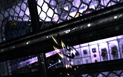 ꡼ No.016 | Υ륹̢䤷ԻԤæз֥פΥӥ塼Ǻ