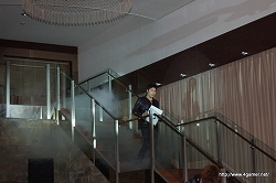 ꡼ No.019Υͥ / Ĥȯޤ֥Хϥ/ɡ˥륺סWԥڡɤȯɽ줿ȯľѡƥͤϤ