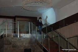 ꡼ No.020Υͥ / Ĥȯޤ֥Хϥ/ɡ˥륺סWԥڡɤȯɽ줿ȯľѡƥͤϤ