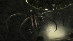 ꡼ No.049 | 󥷥塼ƥ󥰤ǤȥХ餷ɤϷߡ֥Хϥ/ɡ˥륺ץեȥץåǺ