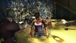 ꡼ No.050 | 󥷥塼ƥ󥰤ǤȥХ餷ɤϷߡ֥Хϥ/ɡ˥륺ץեȥץåǺ