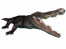 ꡼ No.003Υͥ / ֥Хϥ/ɡ˥륺ס꡼֡ȥƥԤо줹4Υ꡼㡼Ҳ