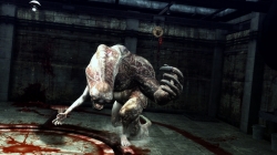 ꡼ No.005Υͥ / ֥Хϥ/ɡ˥륺ס꡼֡ȥƥԤо줹4Υ꡼㡼Ҳ