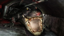 ꡼ No.009Υͥ / ֥Хϥ/ɡ˥륺ס꡼֡ȥƥԤо줹4Υ꡼㡼Ҳ