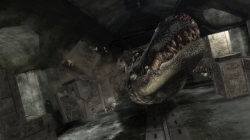 ꡼ No.010Υͥ / ֥Хϥ/ɡ˥륺ס꡼֡ȥƥԤо줹4Υ꡼㡼Ҳ