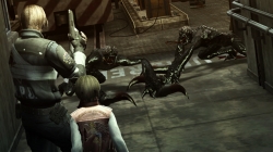 ꡼ No.011Υͥ / ֥Хϥ/ɡ˥륺ס꡼֡ȥƥԤо줹4Υ꡼㡼Ҳ