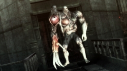 ꡼ No.004Υͥ / ֥Хϥ/ɡ˥륺ס꡼֡ȥƥԤǥץ쥤䡼줷֥ȡסG2֡סG3֡פSS