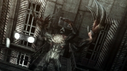 ꡼ No.005Υͥ / ֥Хϥ/ɡ˥륺ס꡼֡ȥƥԤǥץ쥤䡼줷֥ȡסG2֡סG3֡פSS