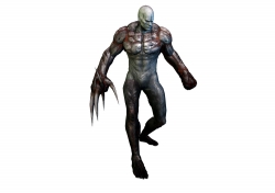 ꡼ No.001Υͥ / ֥Хϥ/ɡ˥륺סࡦ֥֡ӥԤǥץ쥤䡼ιԤˤ९꡼㡼ãҲ