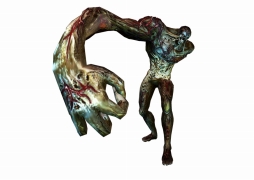 ꡼ No.003Υͥ / ֥Хϥ/ɡ˥륺סࡦ֥֡ӥԤǥץ쥤䡼ιԤˤ९꡼㡼ãҲ