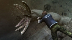 ꡼ No.006Υͥ / ֥Хϥ/ɡ˥륺סࡦ֥֡ӥԤǥץ쥤䡼ιԤˤ९꡼㡼ãҲ