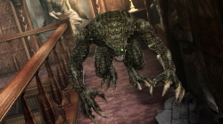 ꡼ No.007Υͥ / ֥Хϥ/ɡ˥륺סࡦ֥֡ӥԤǥץ쥤䡼ιԤˤ९꡼㡼ãҲ