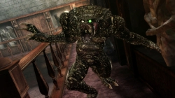 ꡼ No.008Υͥ / ֥Хϥ/ɡ˥륺סࡦ֥֡ӥԤǥץ쥤䡼ιԤˤ९꡼㡼ãҲ