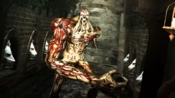 ꡼ No.009Υͥ / ֥Хϥ/ɡ˥륺סࡦ֥֡ӥԤǥץ쥤䡼ιԤˤ९꡼㡼ãҲ