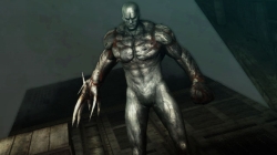 ꡼ No.013Υͥ / ֥Хϥ/ɡ˥륺סࡦ֥֡ӥԤǥץ쥤䡼ιԤˤ९꡼㡼ãҲ