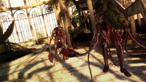 ꡼ No.005Υͥ / ֥Хϥ/ɡ˥륺ס꡼㡼֥ХåS3ס֥ӡYXפҲŪʷ򹯿ʤо줹뤢Υ⡼ɤνи