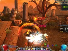 ꡼ No.013Υͥ / OBTǤϹ٥륹θ֥֥쥤֡ס쵤˾̥饹ܻؤ٥̹ά