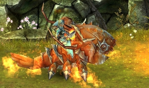 ꡼ No.006Υͥ / ֥֥쥤֡ðΩġÿ޴աɡȤǸ