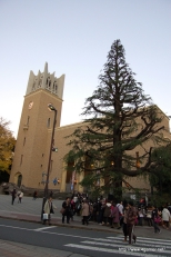 ꡼ No.001Υͥ / WHO AM IɤΥʥ֥쥤ȥ󶵼ץɥǸʪ㥹Ȥȯɽ줿ֱǲ 쥤ȥ󶵼ȱʱβɱ״Ϫ氧