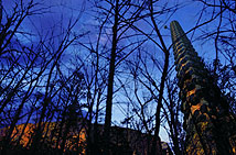 ������#006�Υ���ͥ���/��Ys �ɡ�II Chronicles�״��ܾ���ȥ����꡼�󥷥�åȤ䥤�᡼�����饹�Ȥ�¿������