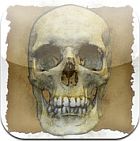 �ѥå�����