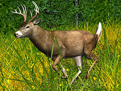 ������#002�Υ���ͥ���/�缫���ǥꥢ��ʼ��Ĥ�ڤ����֥ϥ�ƥ��󥰡������ߥƥå�2009�פβ�������Ǻ�