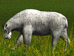 ������#003�Υ���ͥ���/�缫���ǥꥢ��ʼ��Ĥ�ڤ����֥ϥ�ƥ��󥰡������ߥƥå�2009�פβ�������Ǻ�