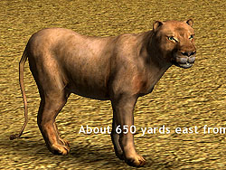 ������#004�Υ���ͥ���/�缫���ǥꥢ��ʼ��Ĥ�ڤ����֥ϥ�ƥ��󥰡������ߥƥå�2009�פβ�������Ǻ�