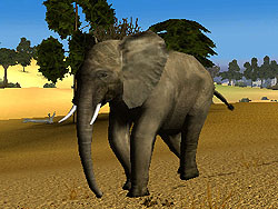 ������#005�Υ���ͥ���/�缫���ǥꥢ��ʼ��Ĥ�ڤ����֥ϥ�ƥ��󥰡������ߥƥå�2009�פβ�������Ǻ�