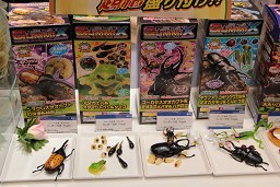 ꡼ No.047 | 㥷硼2010׳롤Ϣξʤƥ/ϥƥ򤼤ǿݡ