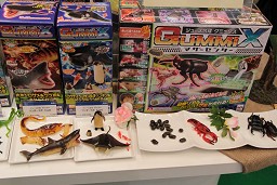 ꡼ No.048 | 㥷硼2010׳롤Ϣξʤƥ/ϥƥ򤼤ǿݡ