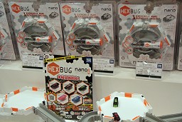 ꡼ No.067 | 㥷硼2010׳롤Ϣξʤƥ/ϥƥ򤼤ǿݡ