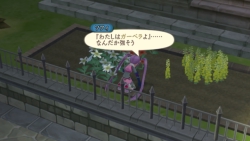 画像ギャラリー No.015のサムネイル画像 / 「テイルズ オブ グレイセス」,水着に続いて“正装の強さを知る”RPGに? 新しい着替え付き称号とミニゲーム“種集め”を紹介