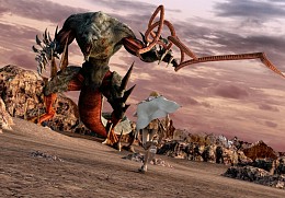 ������#010�Υ���ͥ���/�����ϲ����ɤ�����ʥࡼ�ӡ������ܡ���NDS��CLAYMORE�����������������ȯ��